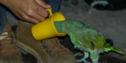 Venzuela 2004