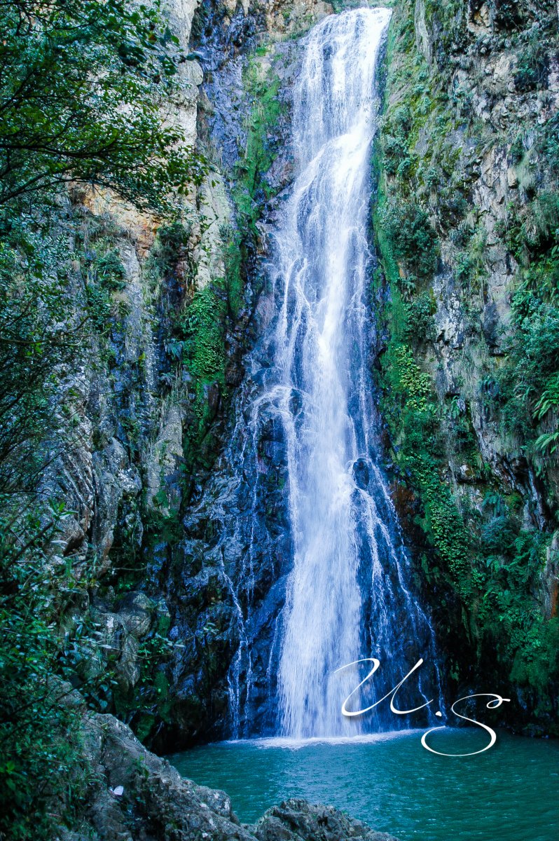 DSC_3278