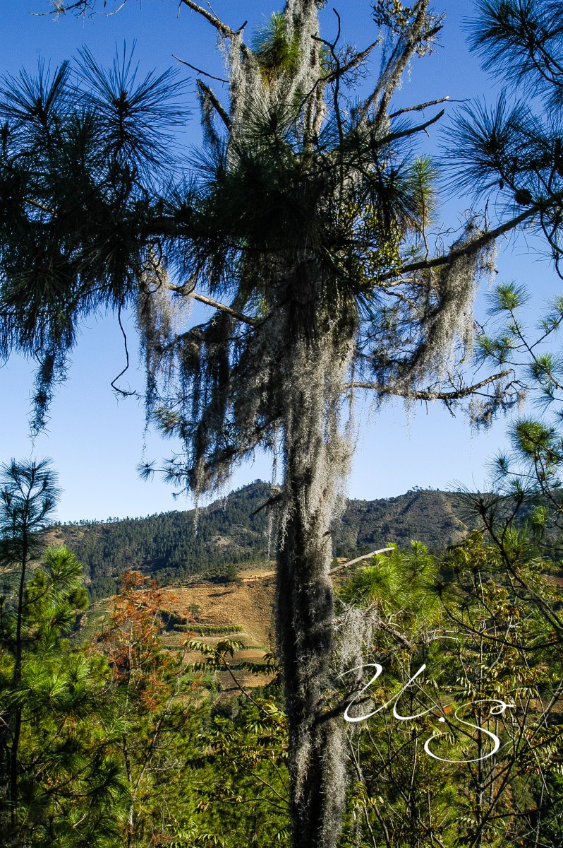 DSC_3271