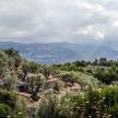 Mallorca067